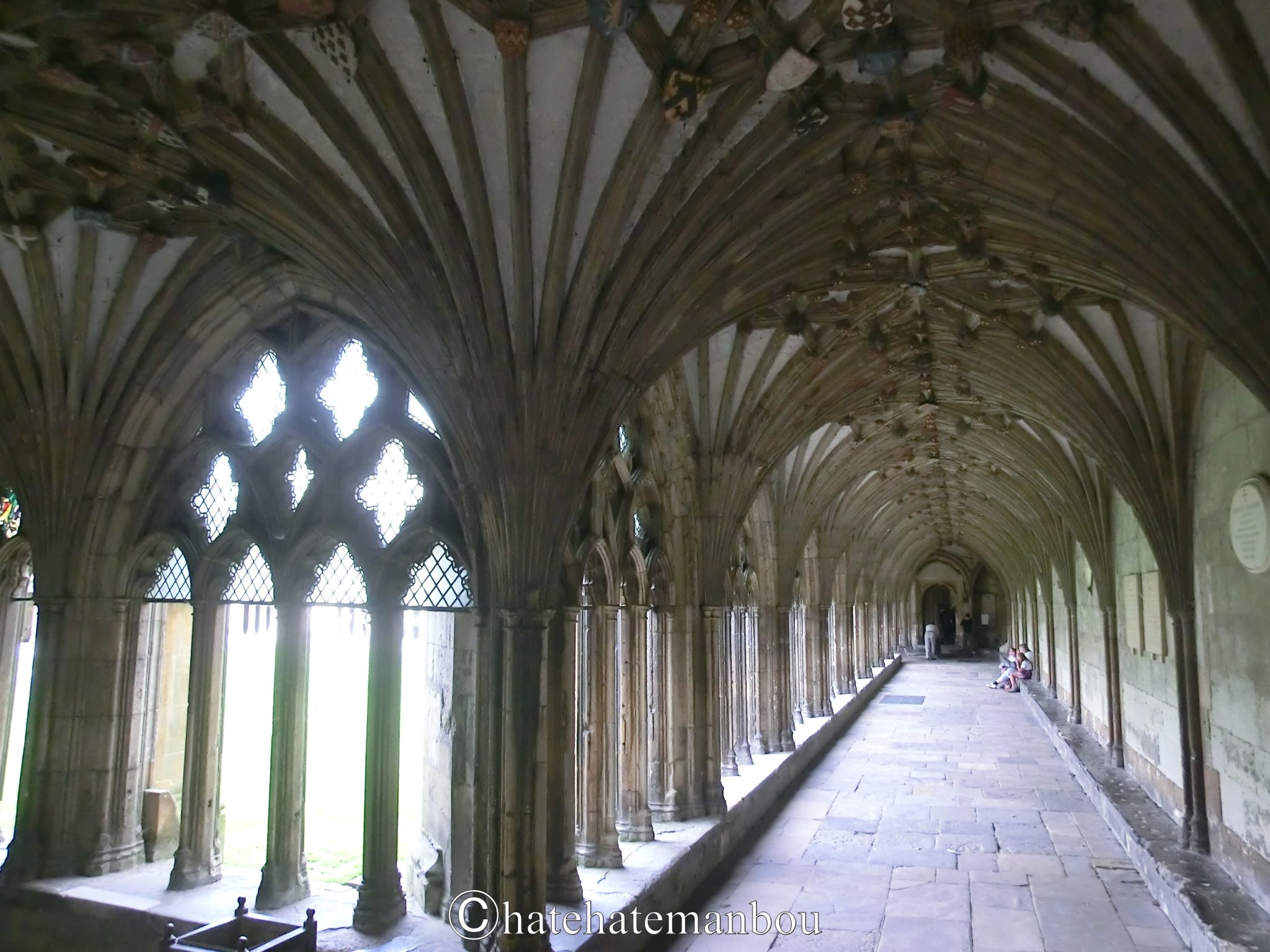 【大聖堂】教会と何が違う？╿ヨーロッパのゴシック建築を旅して はてはてマンボウの 教養回遊記